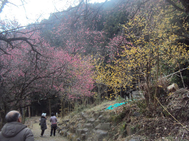 �J�ɂ����������ɂ��������E���̊X�Ȗ�