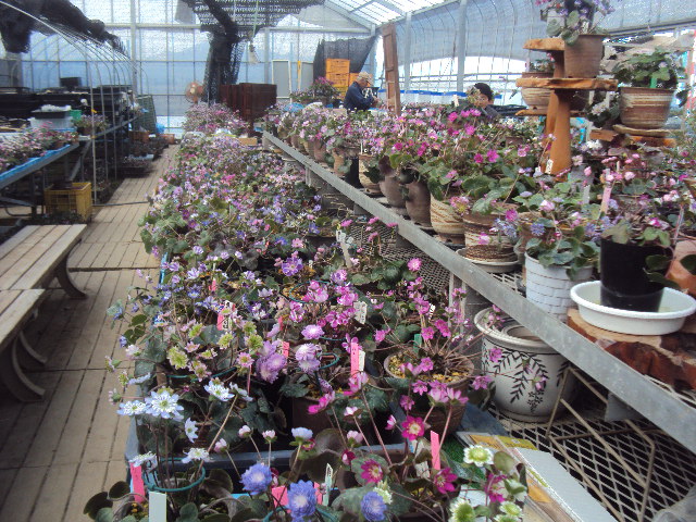 �J�ɂ����������ɂ��������E���̊X�Ȗ�