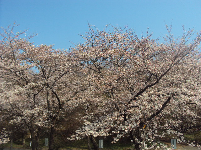 �J�ɂ����������ɂ��������E���̊X�Ȗ�