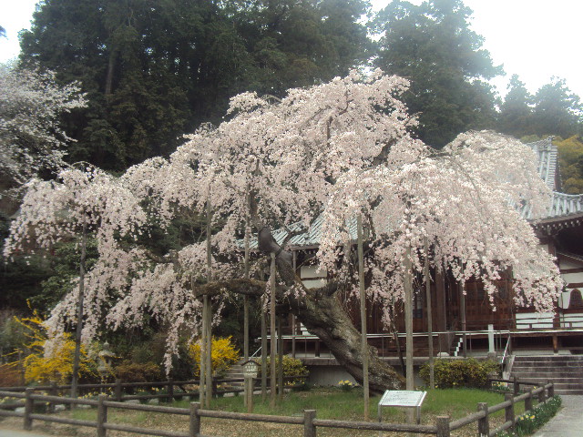 �J�ɂ����������ɂ��������E���̊X�Ȗ�