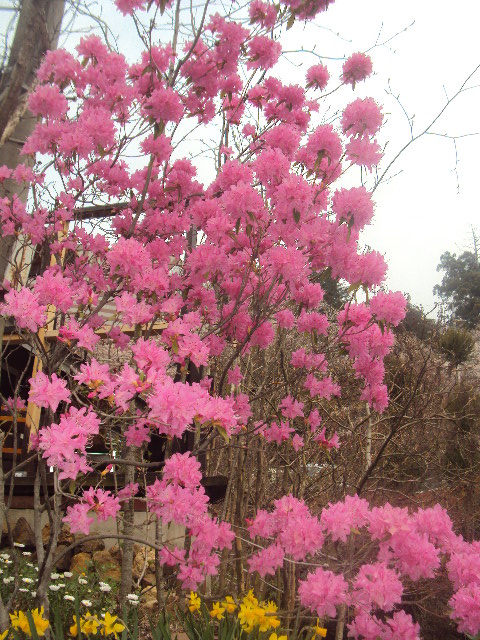 �J�ɂ����������ɂ��������E���̊X�Ȗ�