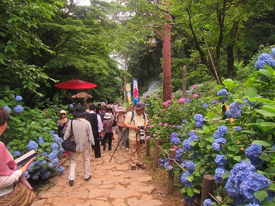 �J�ɂ����������ɂ��������E���̊X�Ȗ�