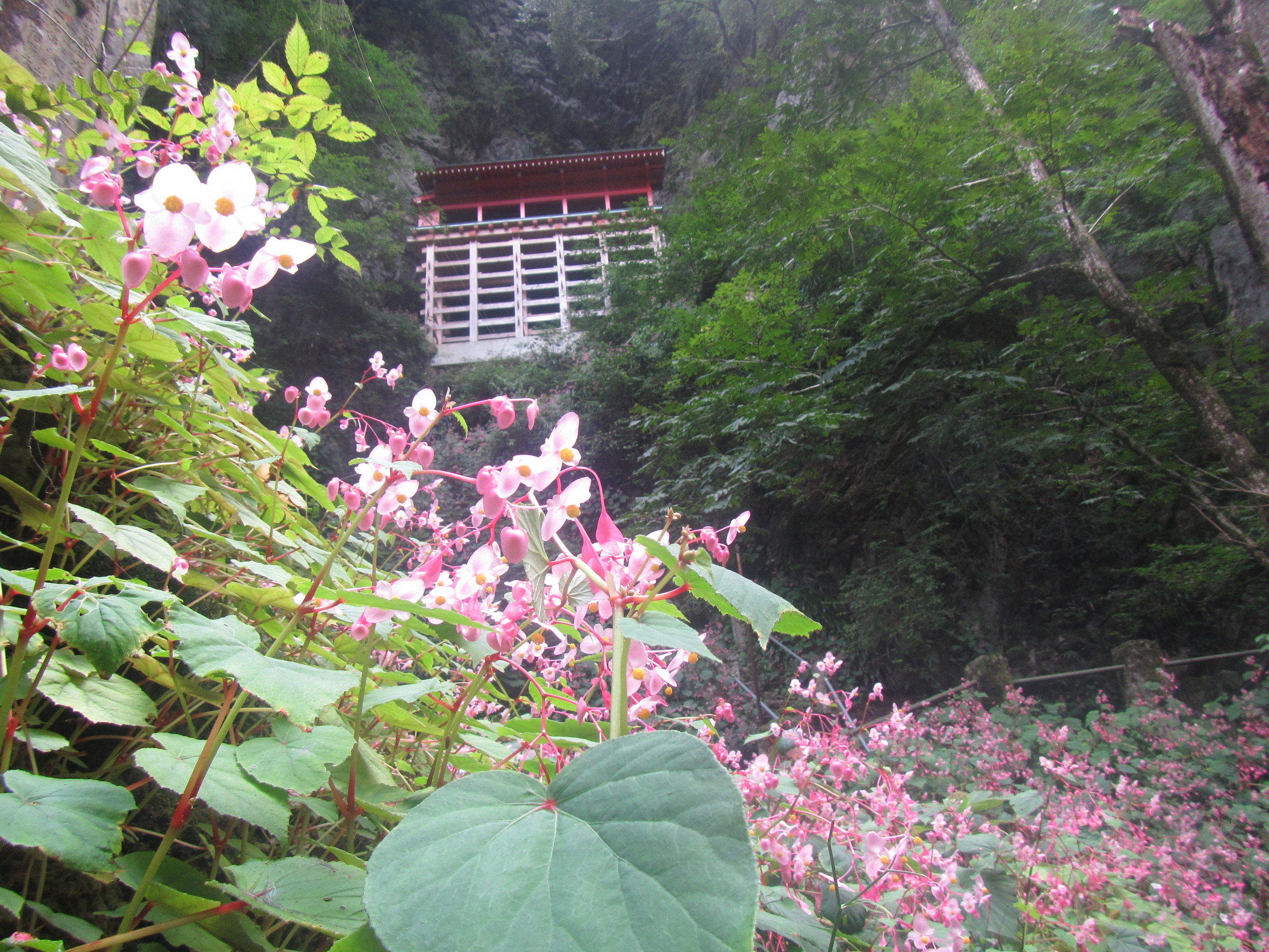 �J�ɂ����������ɂ��������E���̊X�Ȗ�