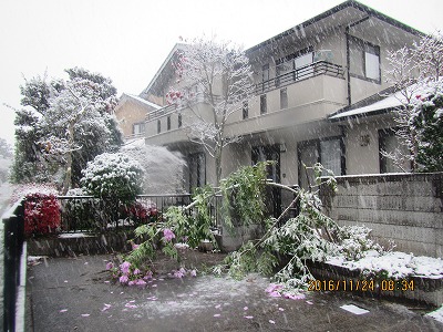 �J�ɂ����������ɂ��������E���̊X�Ȗ�