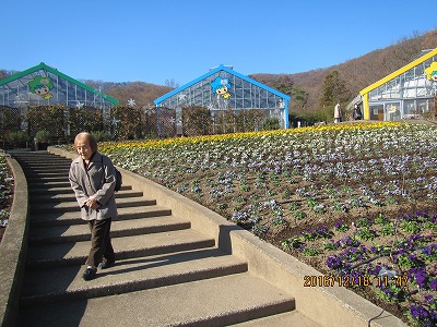 �J�ɂ����������ɂ��������E���̊X�Ȗ�