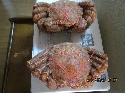 �J�ɂ����������ɂ��������E���̊X�Ȗ�