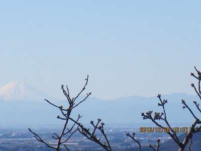 �J�ɂ����������ɂ��������E���̊X�Ȗ�