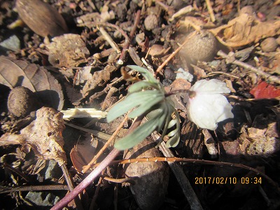 �J�ɂ����������ɂ��������E���̊X�Ȗ�