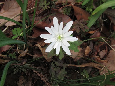 �J�ɂ����������ɂ��������E���̊X�Ȗ�