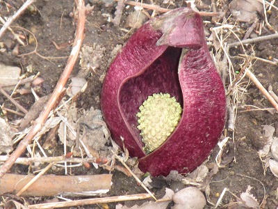 �J�ɂ����������ɂ��������E���̊X�Ȗ�