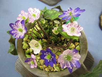 �J�ɂ����������ɂ��������E���̊X�Ȗ�