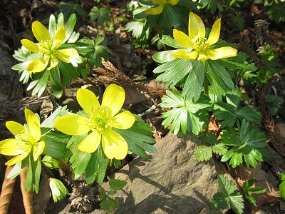 �J�ɂ����������ɂ��������E���̊X�Ȗ�