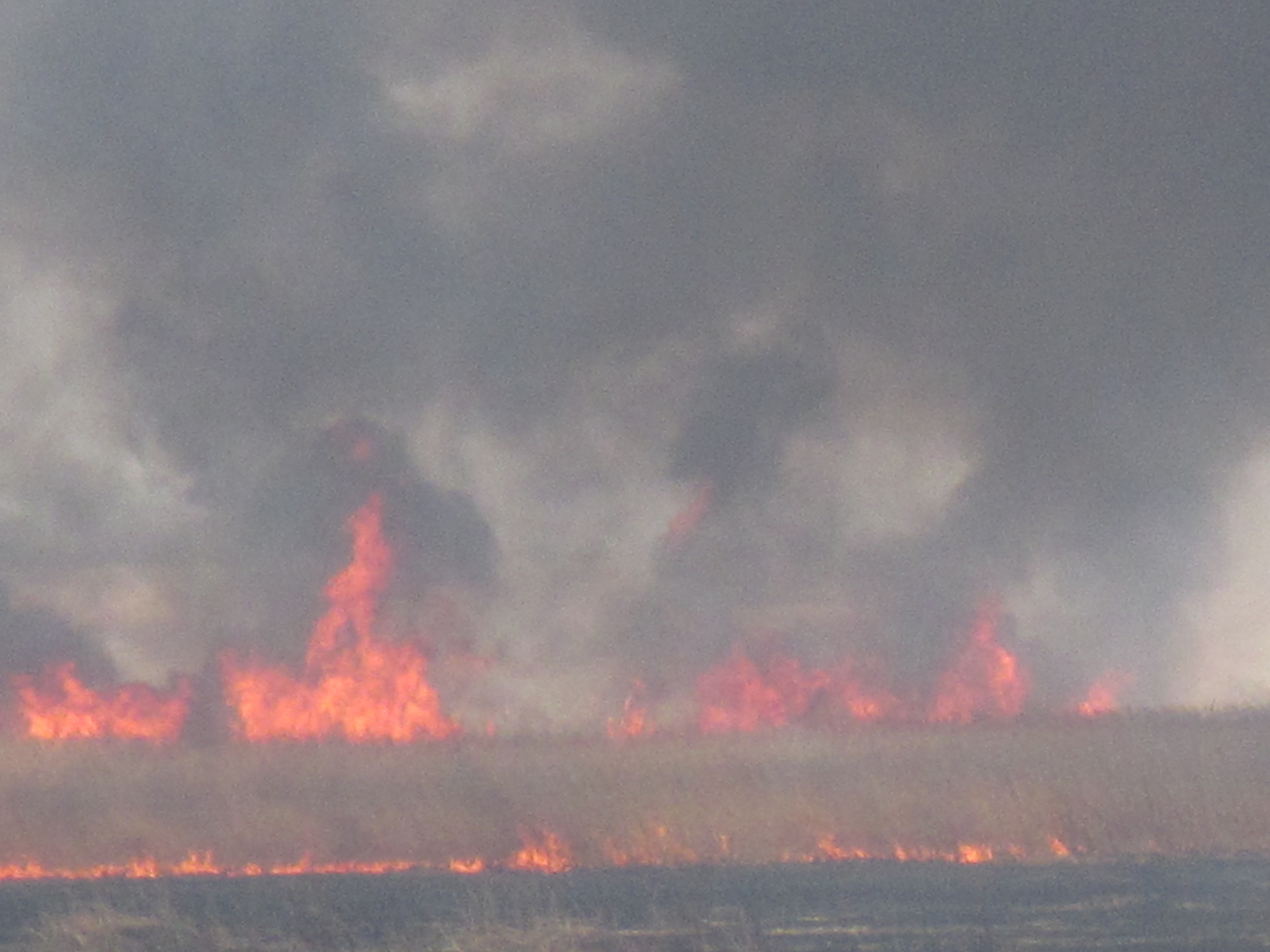 �J�ɂ����������ɂ��������E���̊X�Ȗ�