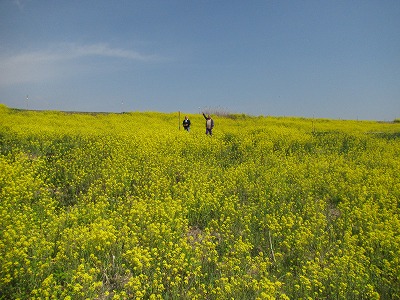 �J�ɂ����������ɂ��������E���̊X�Ȗ�