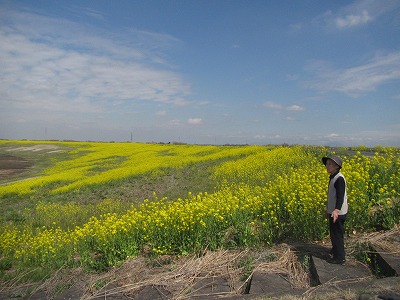 �J�ɂ����������ɂ��������E���̊X�Ȗ�