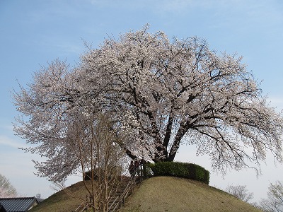 �J�ɂ����������ɂ��������E���̊X�Ȗ�