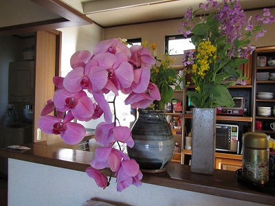 �J�ɂ����������ɂ��������E���̊X�Ȗ�