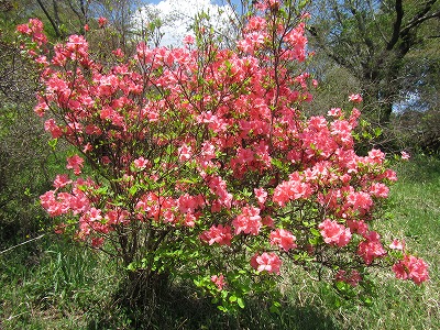 �J�ɂ����������ɂ��������E���̊X�Ȗ�