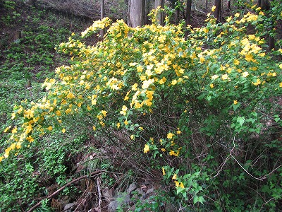 �J�ɂ����������ɂ��������E���̊X�Ȗ�