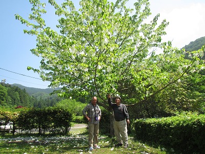 �J�ɂ����������ɂ��������E���̊X�Ȗ�