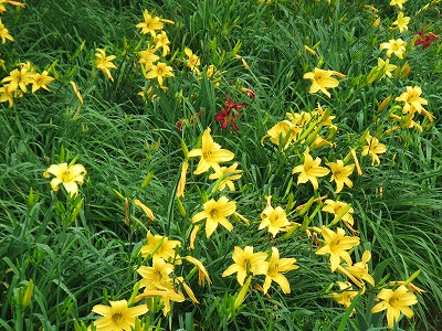 �J�ɂ����������ɂ��������E���̊X�Ȗ�