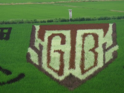 �J�ɂ����������ɂ��������E���̊X�Ȗ�