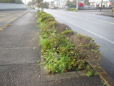 �J�ɂ����������ɂ��������E���̊X�Ȗ�