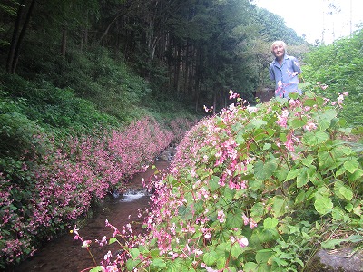 �J�ɂ����������ɂ��������E���̊X�Ȗ�