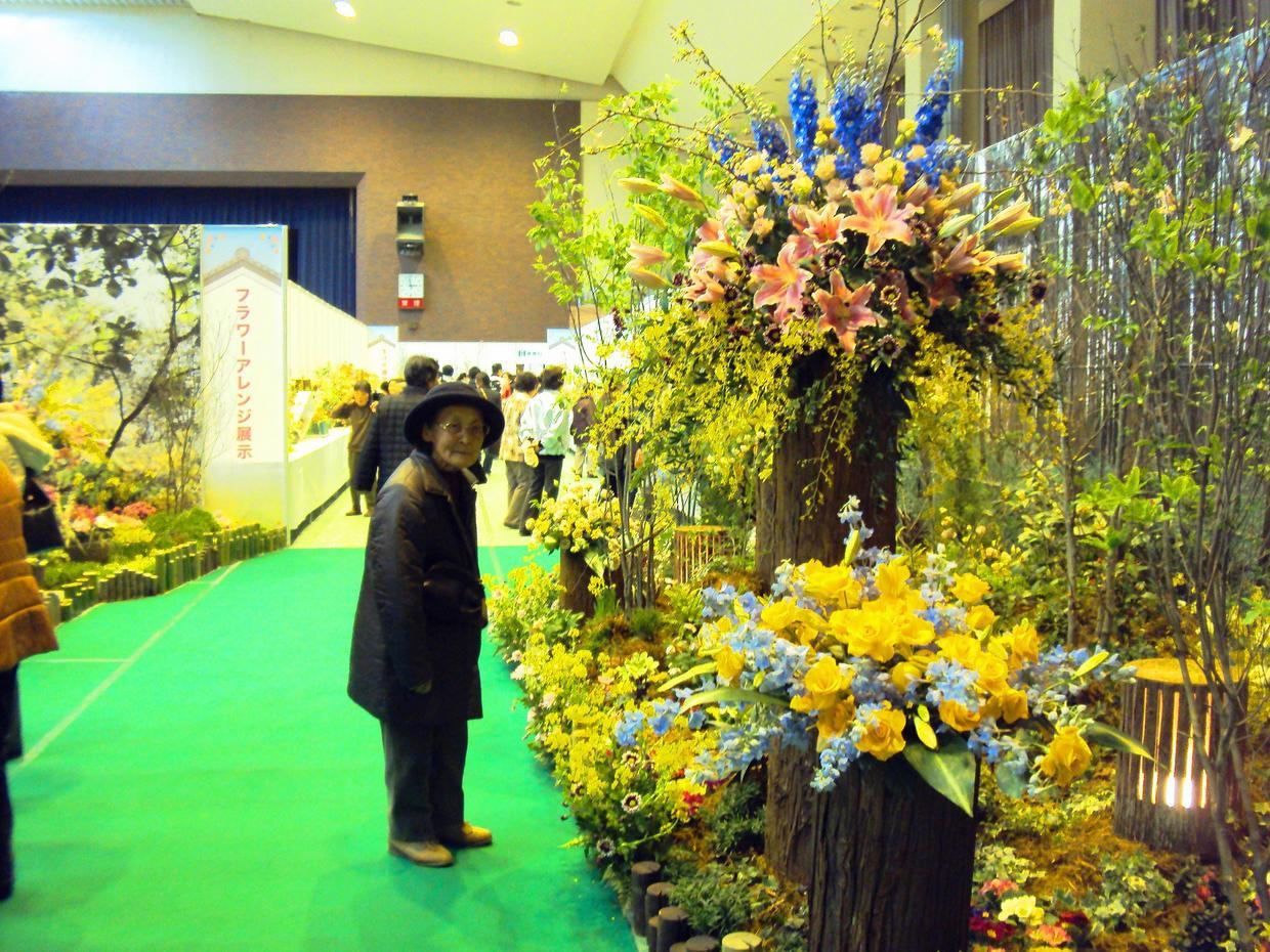 �J�ɂ����������ɂ��������E���̊X�Ȗ�