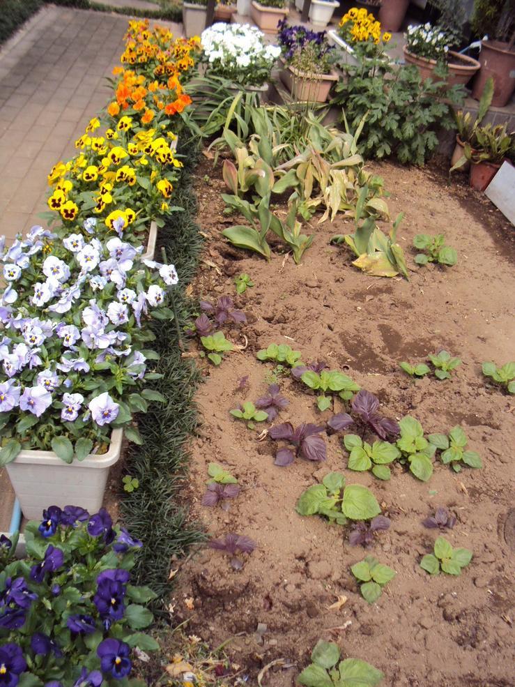 �J�ɂ����������ɂ��������E���̊X�Ȗ�