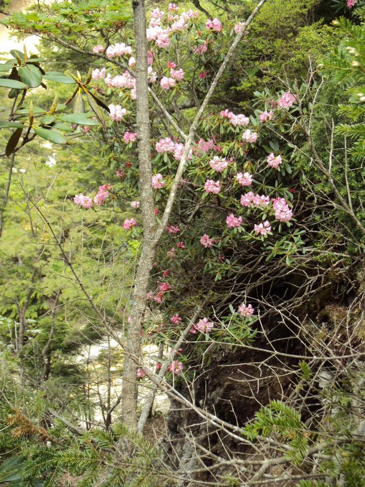 �J�ɂ����������ɂ��������E���̊X�Ȗ�