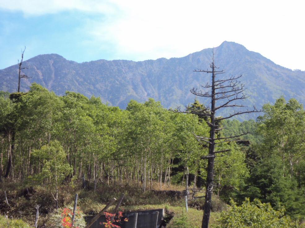 �J�ɂ����������ɂ��������E���̊X�Ȗ�