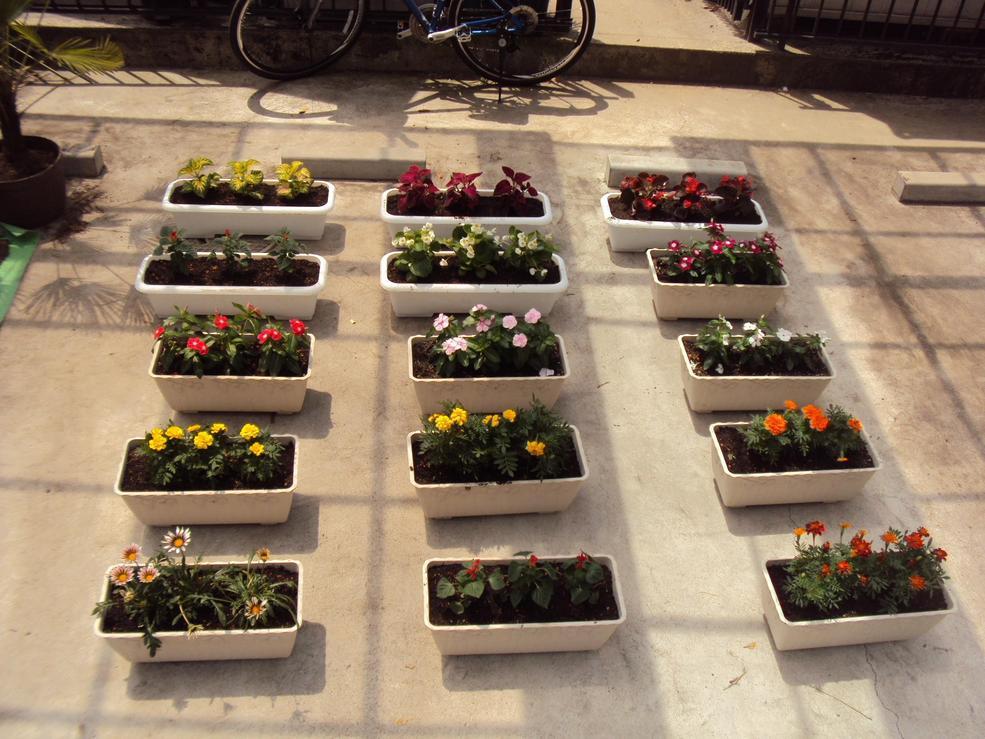 �J�ɂ����������ɂ��������E���̊X�Ȗ�