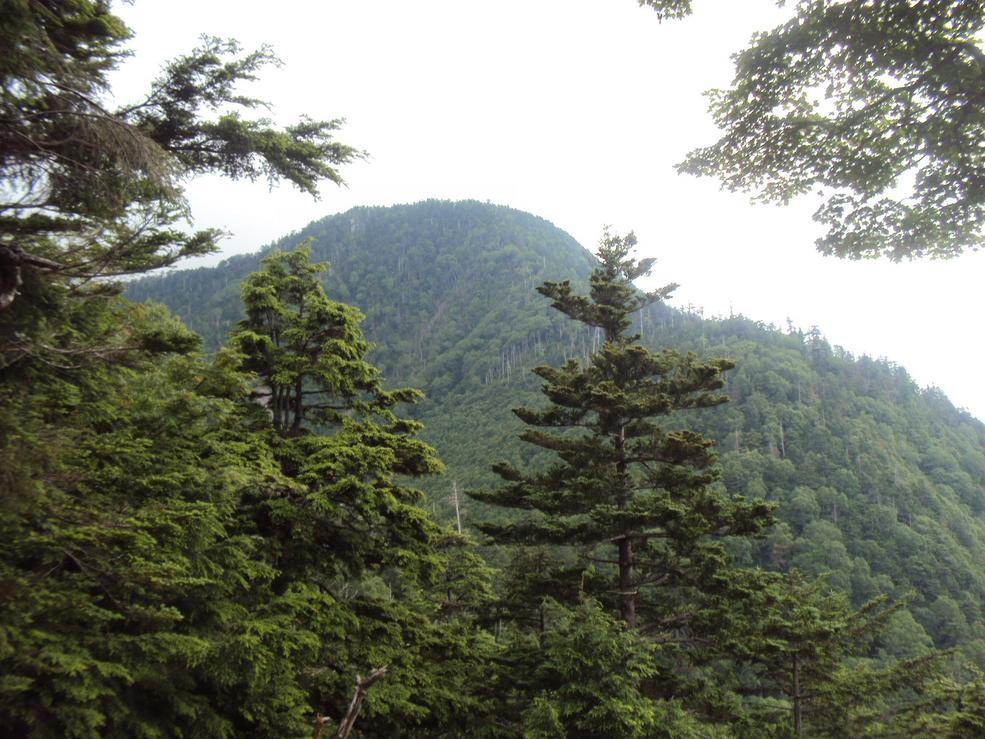 �J�ɂ����������ɂ��������E���̊X�Ȗ�