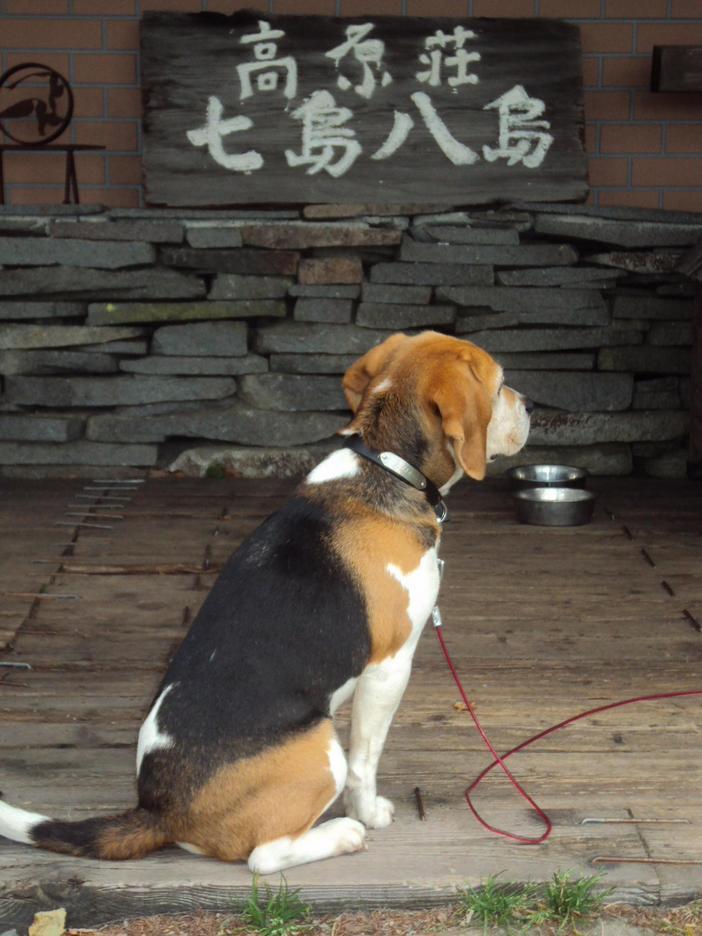 �J�ɂ����������ɂ��������E���̊X�Ȗ�