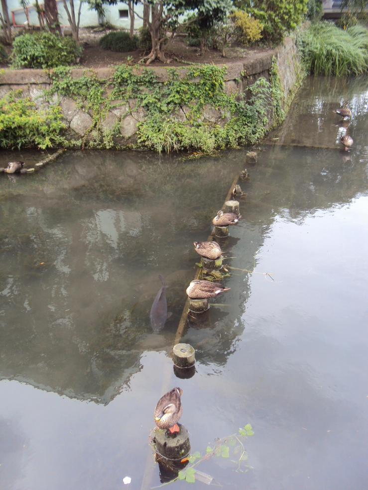 �J�ɂ����������ɂ��������E���̊X�Ȗ�