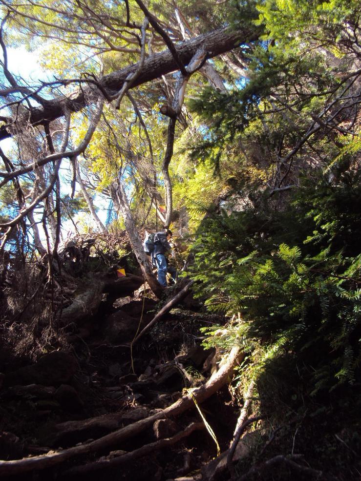 �J�ɂ����������ɂ��������E���̊X�Ȗ�