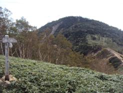 �J�ɂ����������ɂ��������E���̊X�Ȗ�