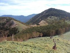 �J�ɂ����������ɂ��������E���̊X�Ȗ�