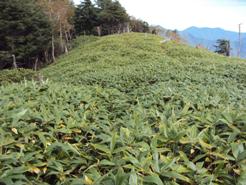 �J�ɂ����������ɂ��������E���̊X�Ȗ�