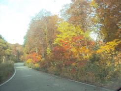 �J�ɂ����������ɂ��������E���̊X�Ȗ�