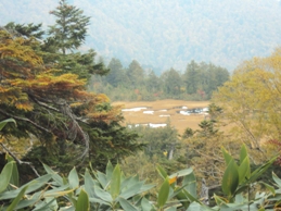 �J�ɂ����������ɂ��������E���̊X�Ȗ�