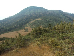 �J�ɂ����������ɂ��������E���̊X�Ȗ�