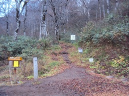 �J�ɂ����������ɂ��������E���̊X�Ȗ�