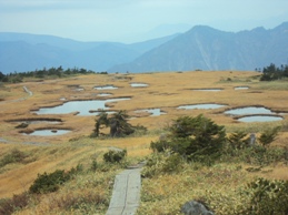 �J�ɂ����������ɂ��������E���̊X�Ȗ�