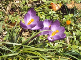 �J�ɂ����������ɂ��������E���̊X�Ȗ�