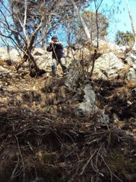 �J�ɂ����������ɂ��������E���̊X�Ȗ�