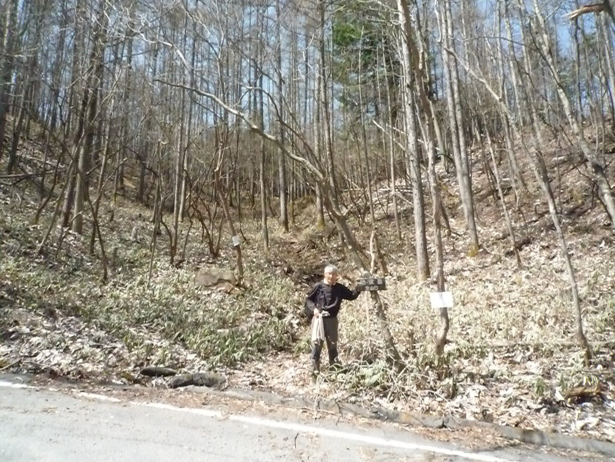 �J�ɂ����������ɂ��������E���̊X�Ȗ�