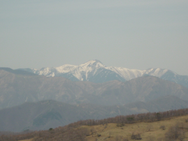 �J�ɂ����������ɂ��������E���̊X�Ȗ�