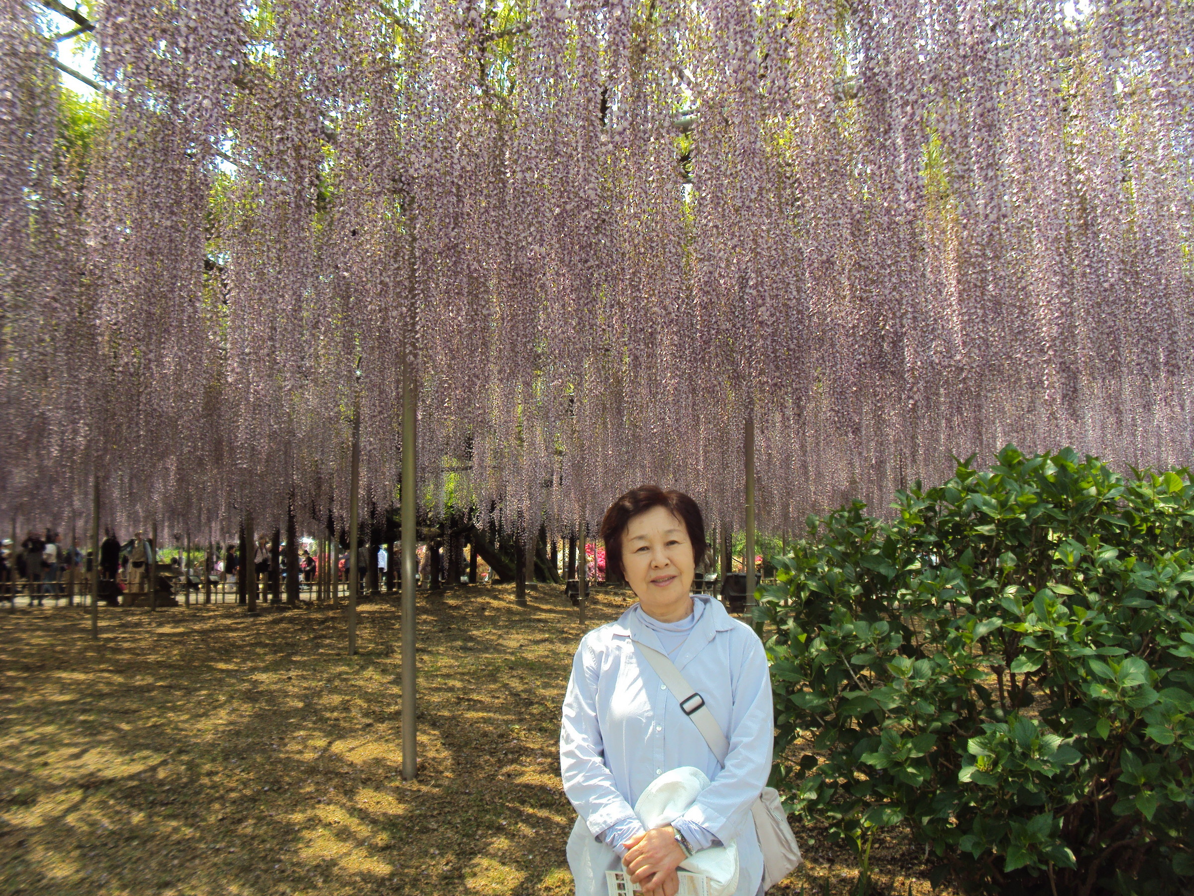 �J�ɂ����������ɂ��������E���̊X�Ȗ�